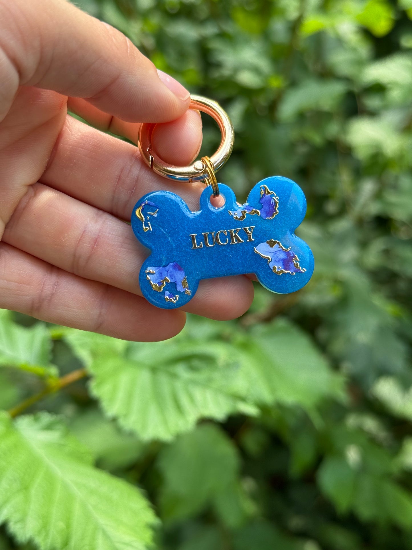 Médaille personnalisée pour chien - Bleu doré