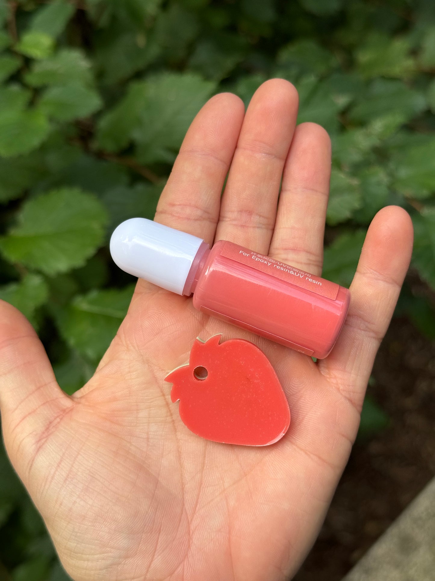Médaille personnalisée pour chien - Rose Rouge corail UNI