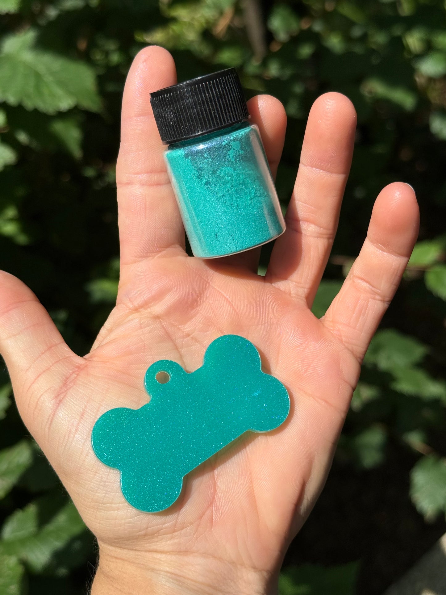 Médaille personnalisée pour animaux - Vert turquoise nacré