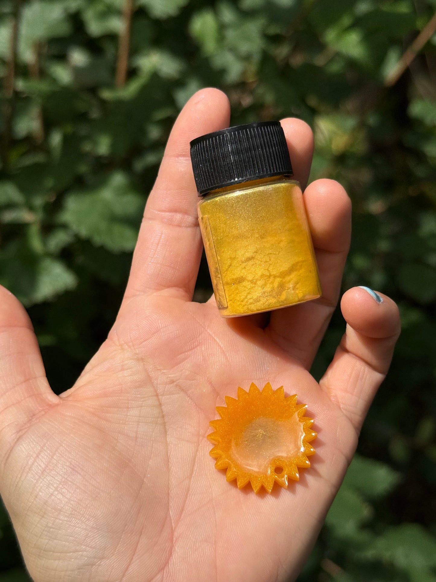 Médaille personnalisée pour chien - Ambre NACRÉ