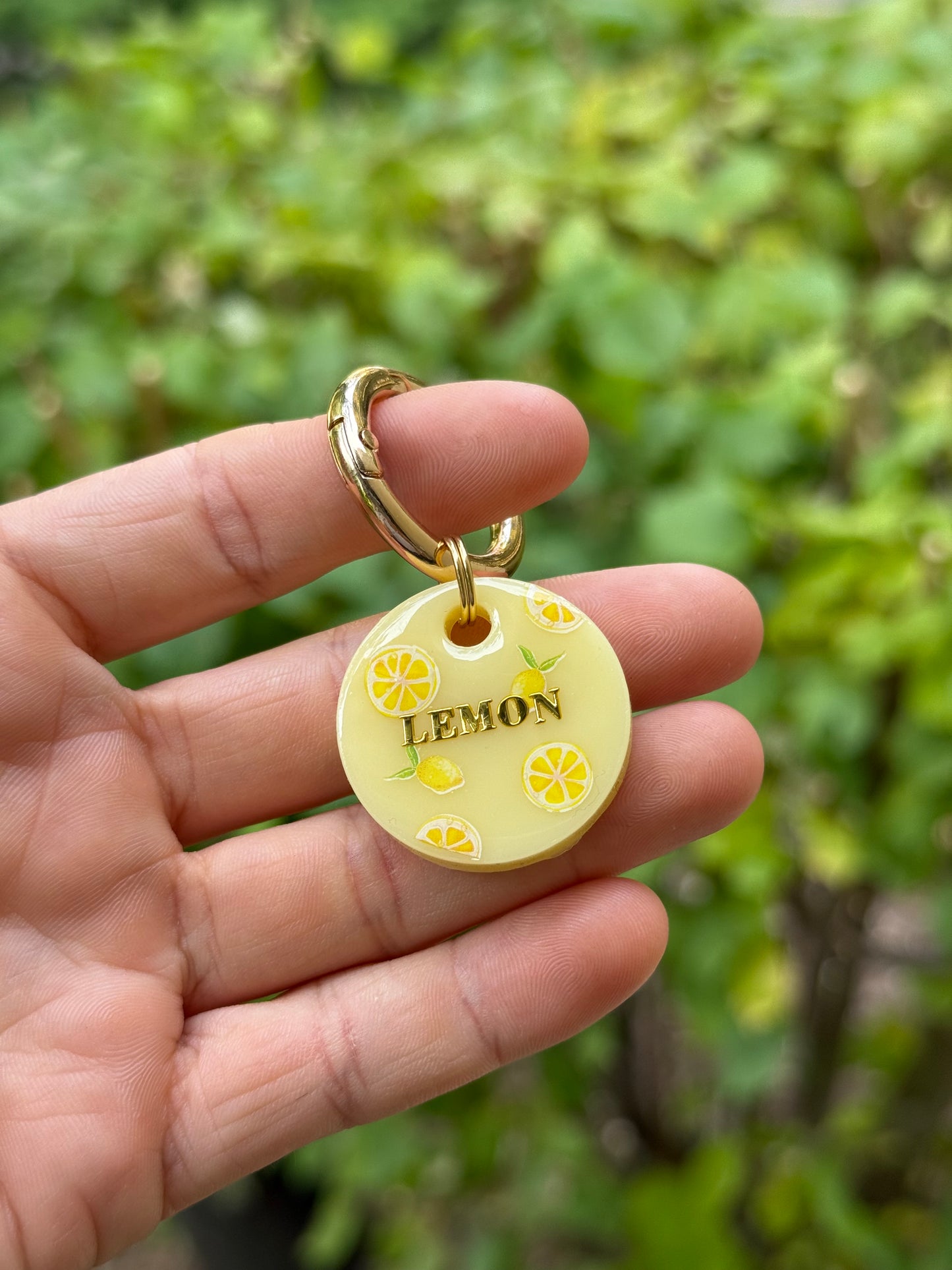 Médaille personnalisée pour chien - Citron 🍋