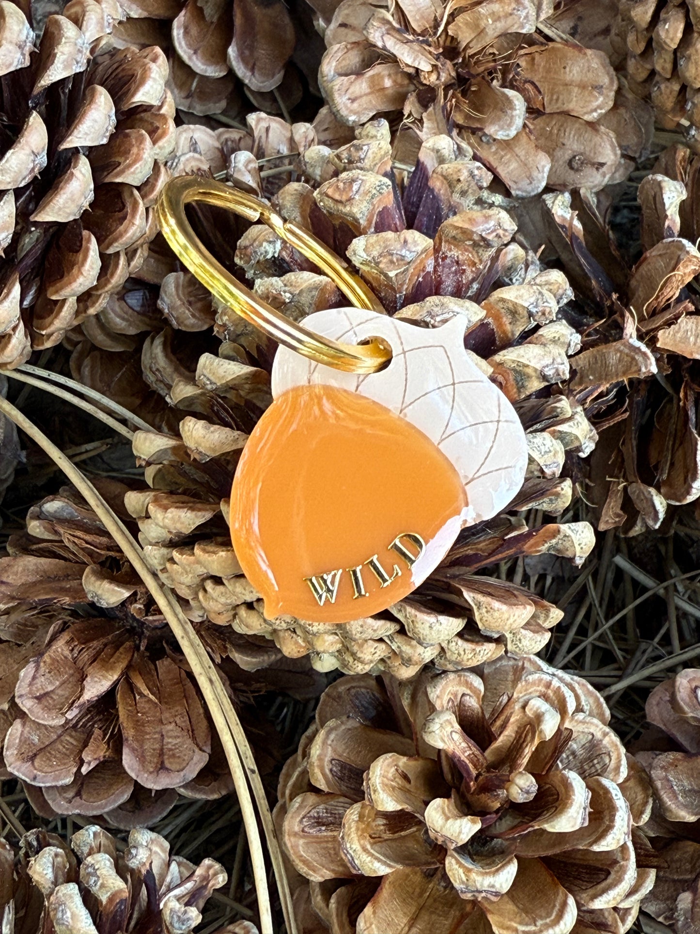 Médaille personnalisée pour chien - Gland WILD