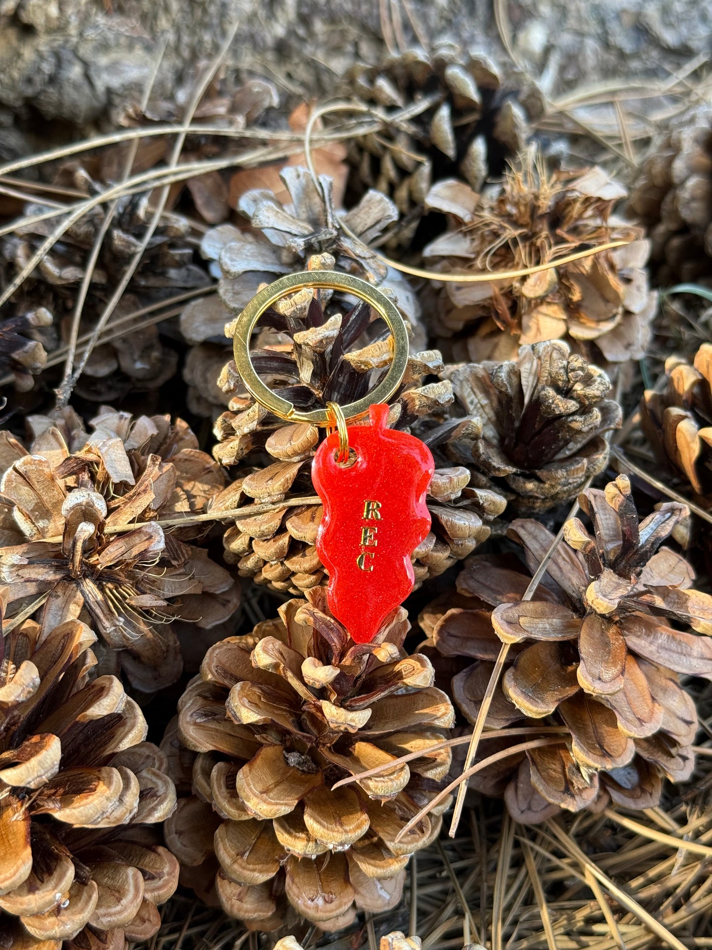 Médaille personnalisée pour chien - Petite feuille REC (Rouge nacré)
