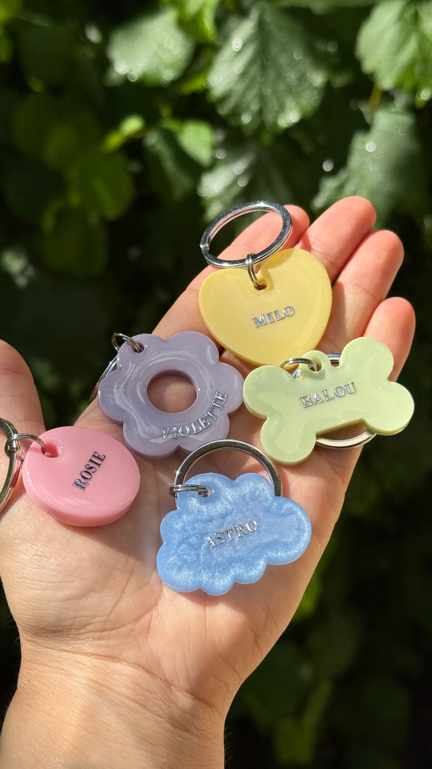 PACK - Jaune Pastel