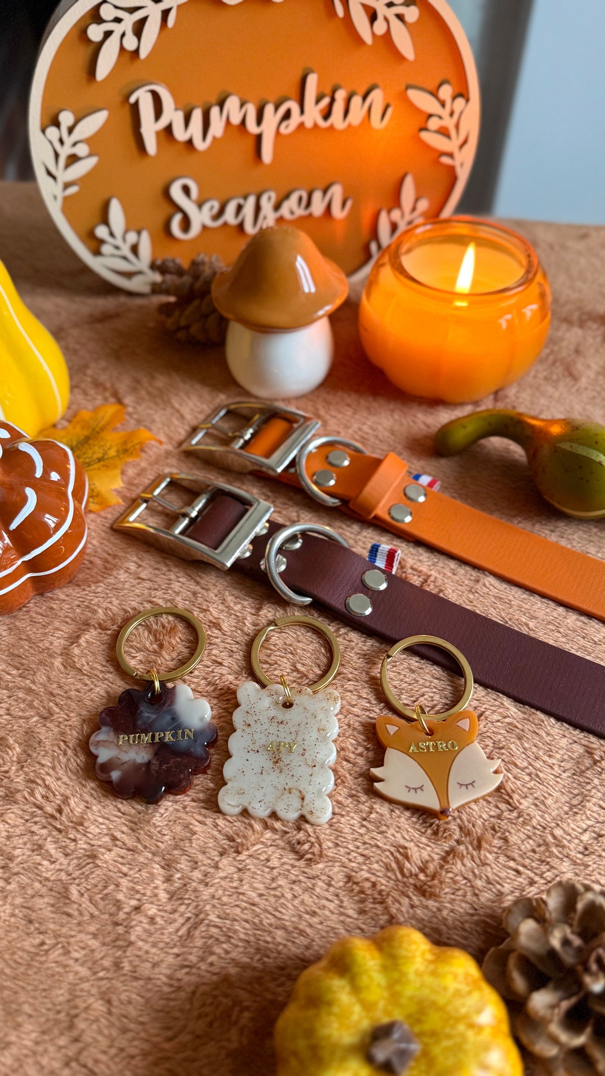 COLLAB - La fabrique à 4 pattes X Atelier de Pumpkin