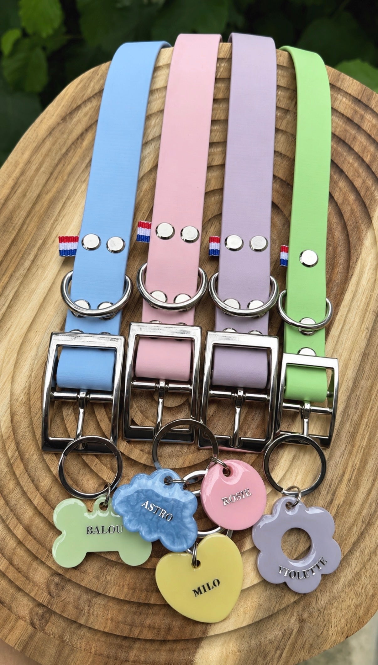 PACK - Bleu Polar