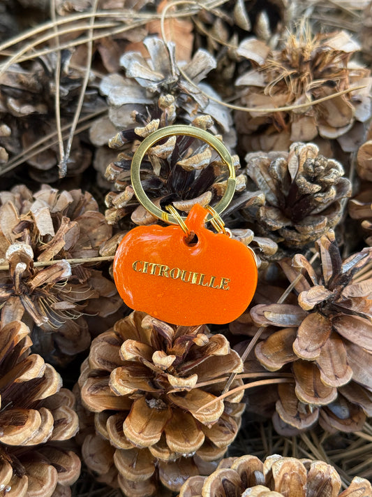 Médaille personnalisée pour chien - Citrouille orange vive