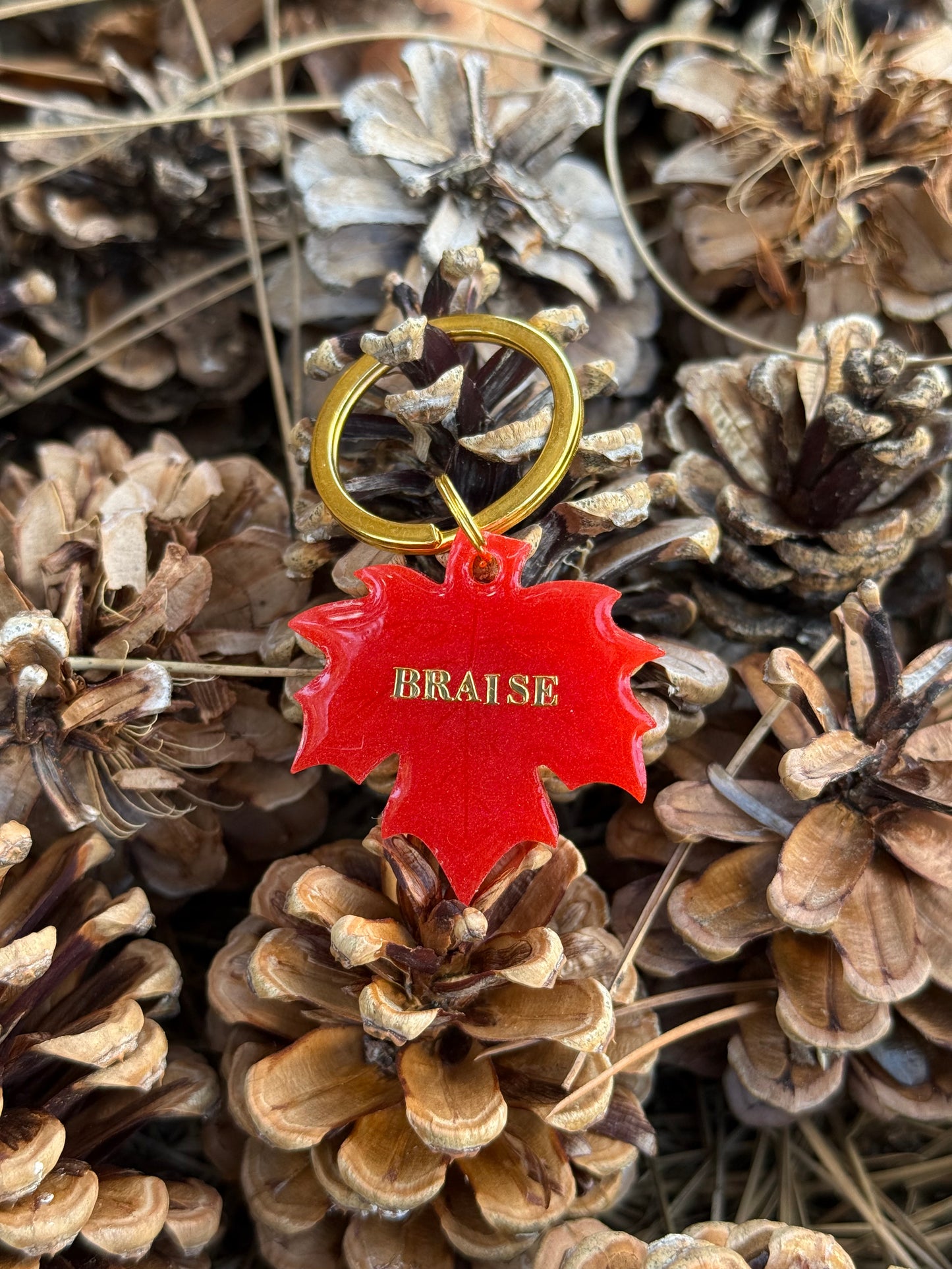 Médaille personnalisée pour chien - Feuille BRAISE