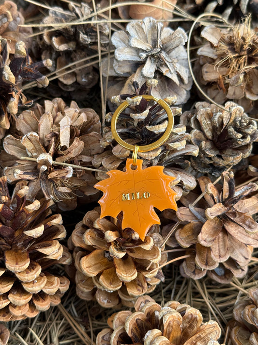 Médaille personnalisée pour chien - Feuille MILO