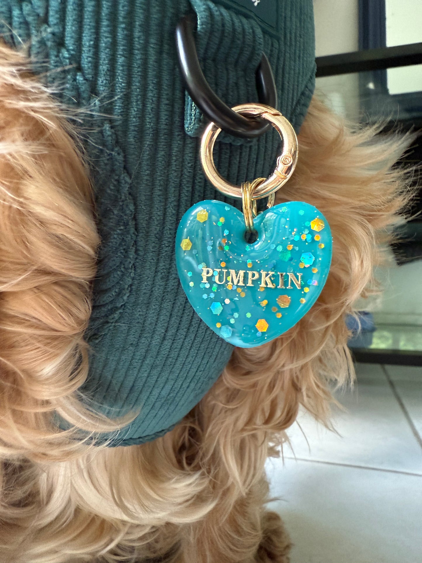 Médaille personnalisée pour chien -
 Bleu pétillant
