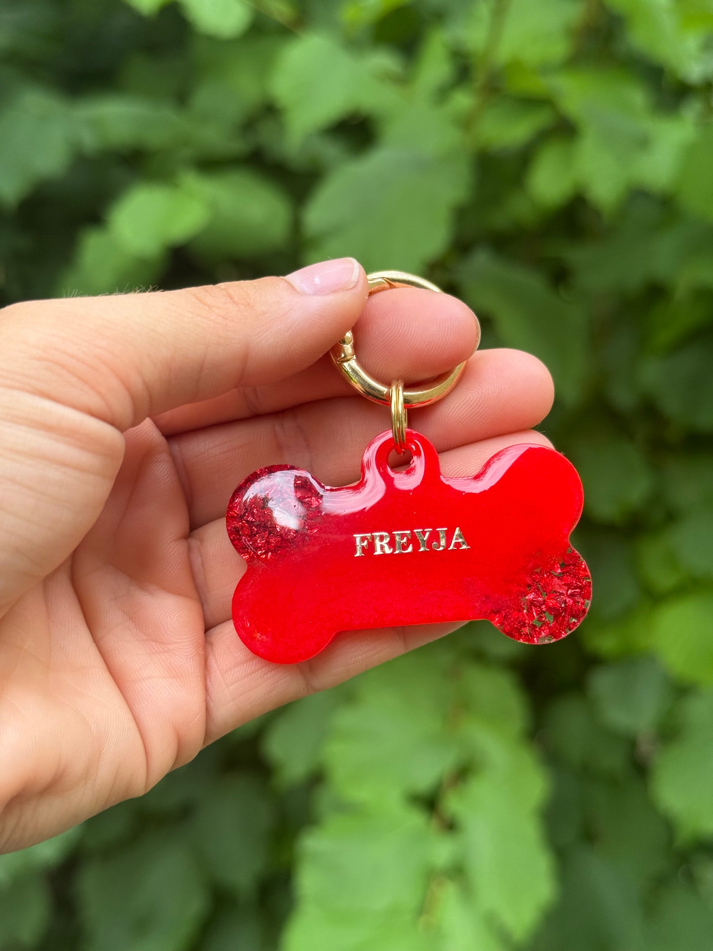 Médaille personnalisée pour chien - Rouge et pierre