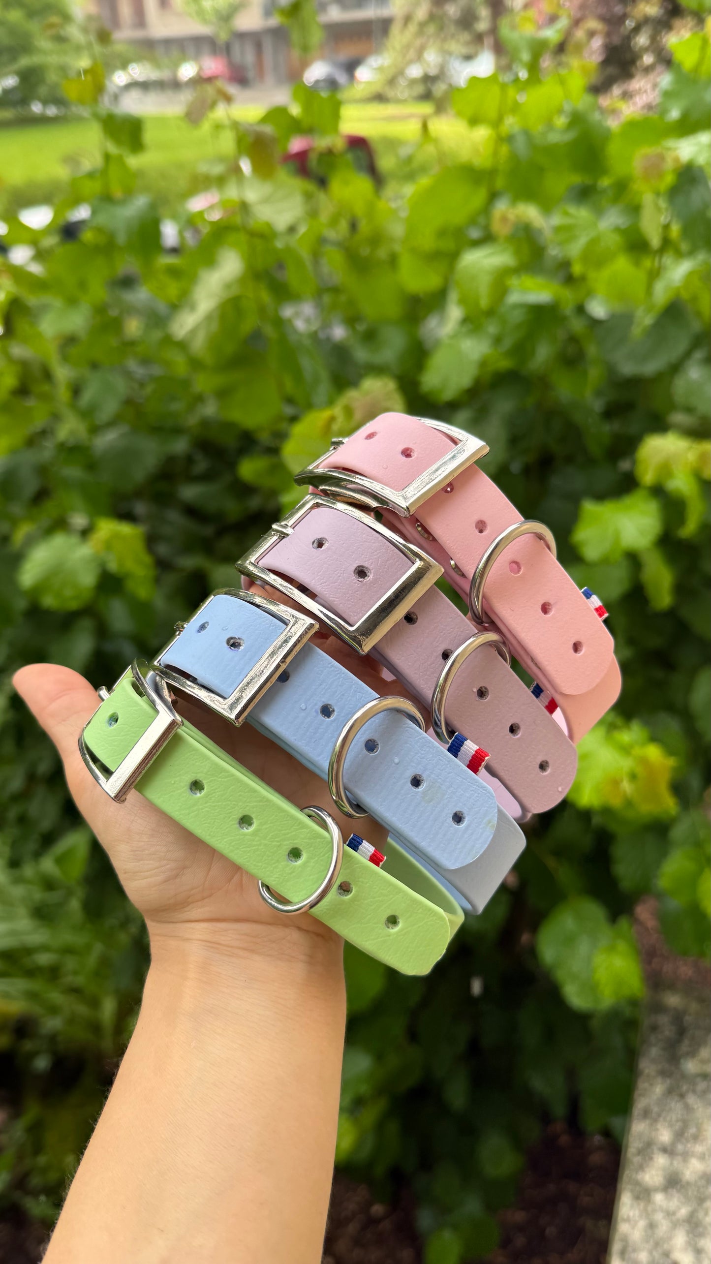 PACK - Rose pastel