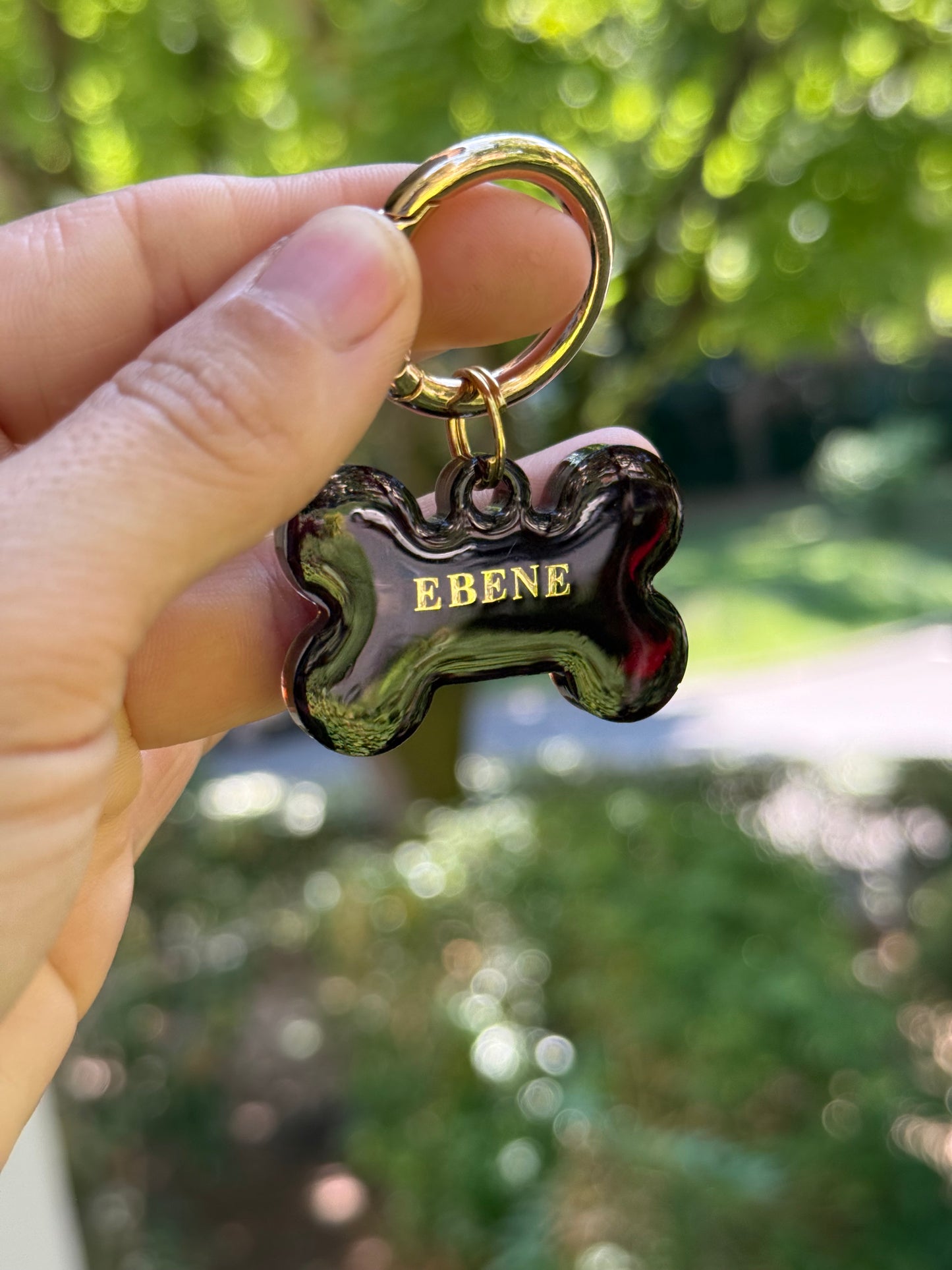 Médaille personnalisée pour chien - Marron Transparent UNI