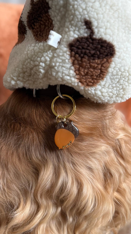 Médaille personnalisée pour chien - Gland OCRE