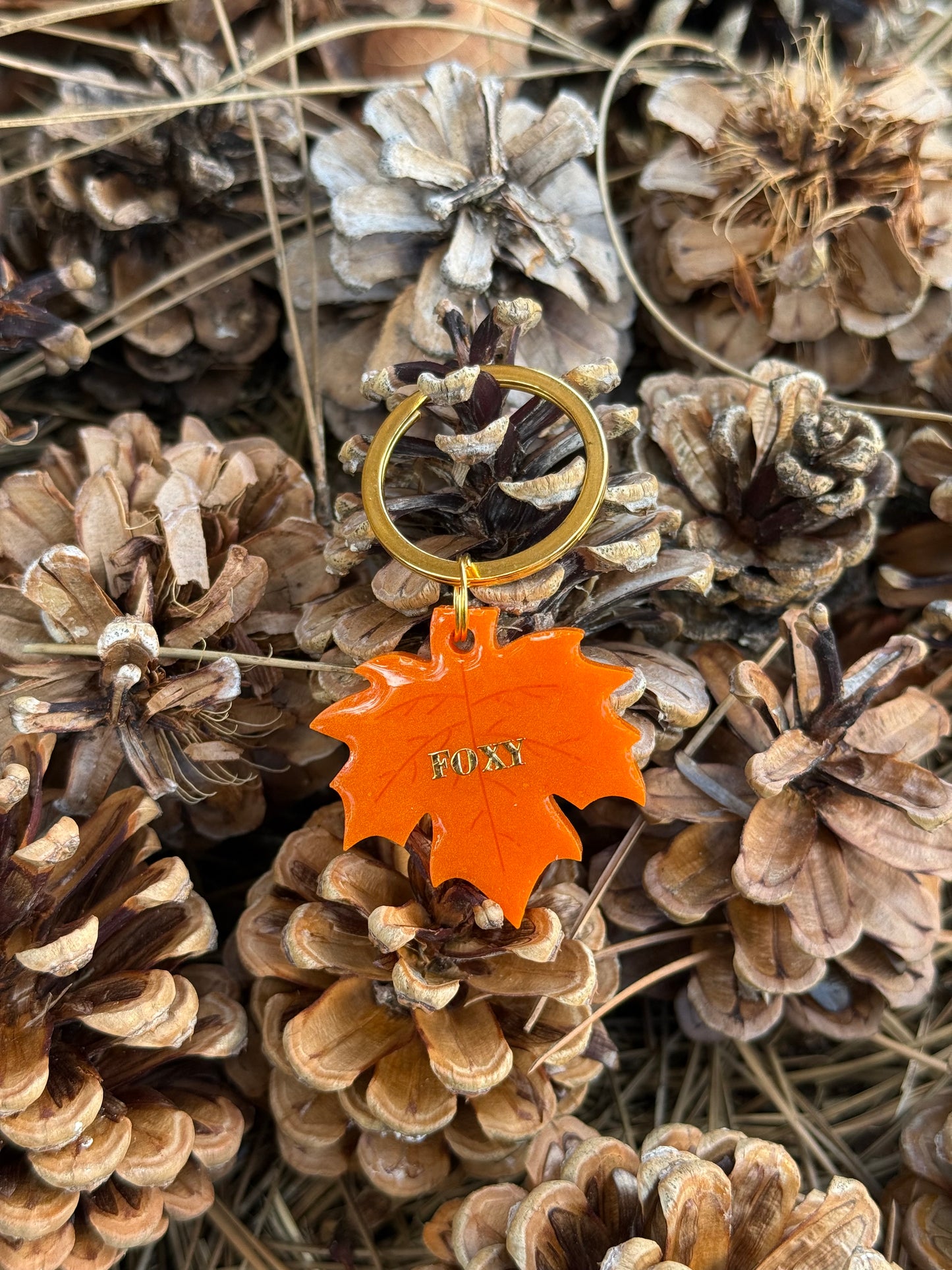 Médaille personnalisée pour chien - Feuille FOXY