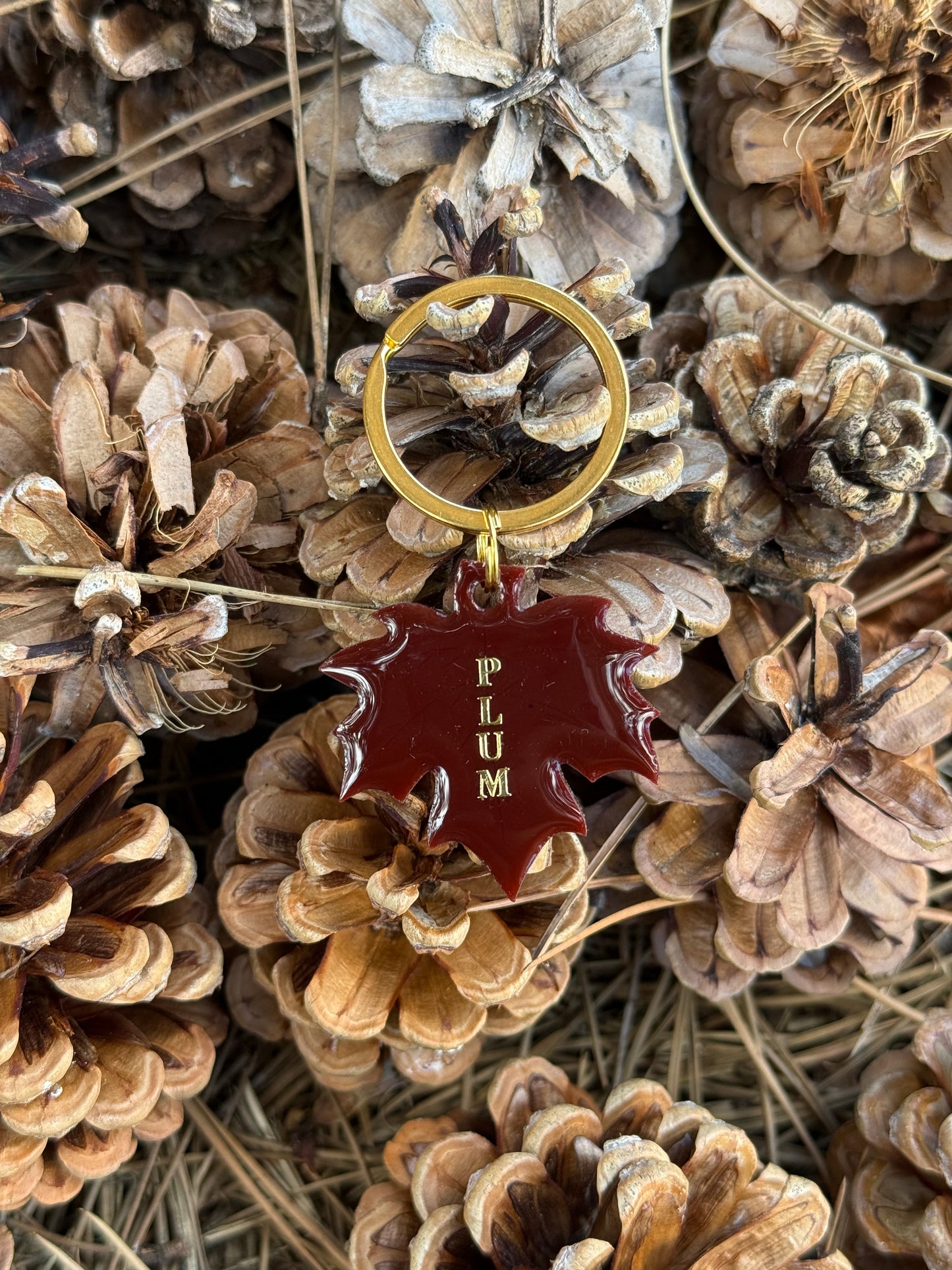 Médaille personnalisée pour chien - Feuille PLUM