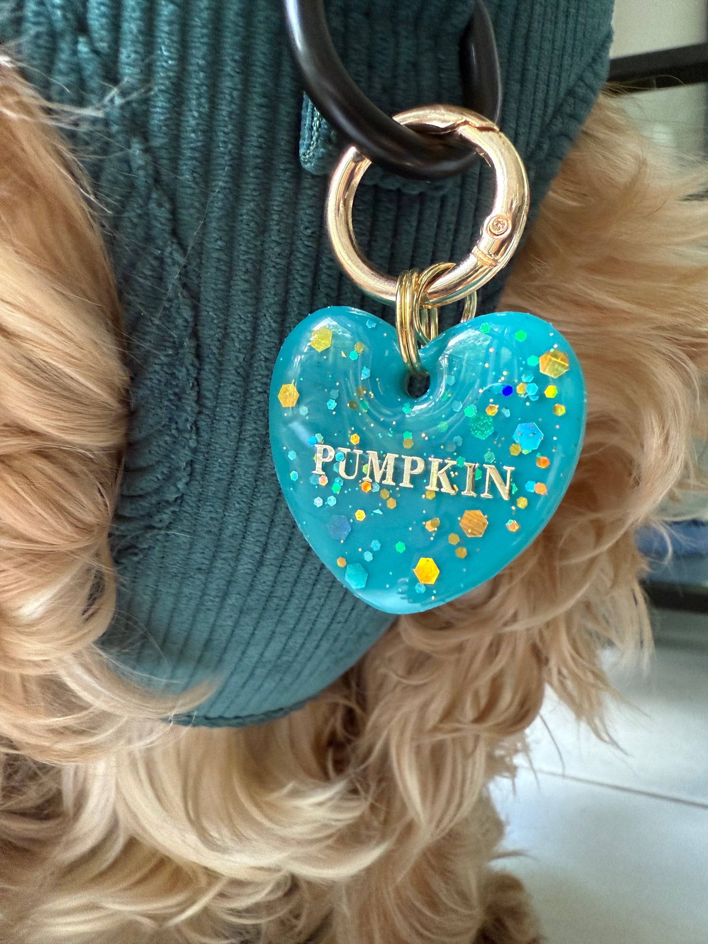 Médaille personnalisée pour chien -
 Bleu pétillant