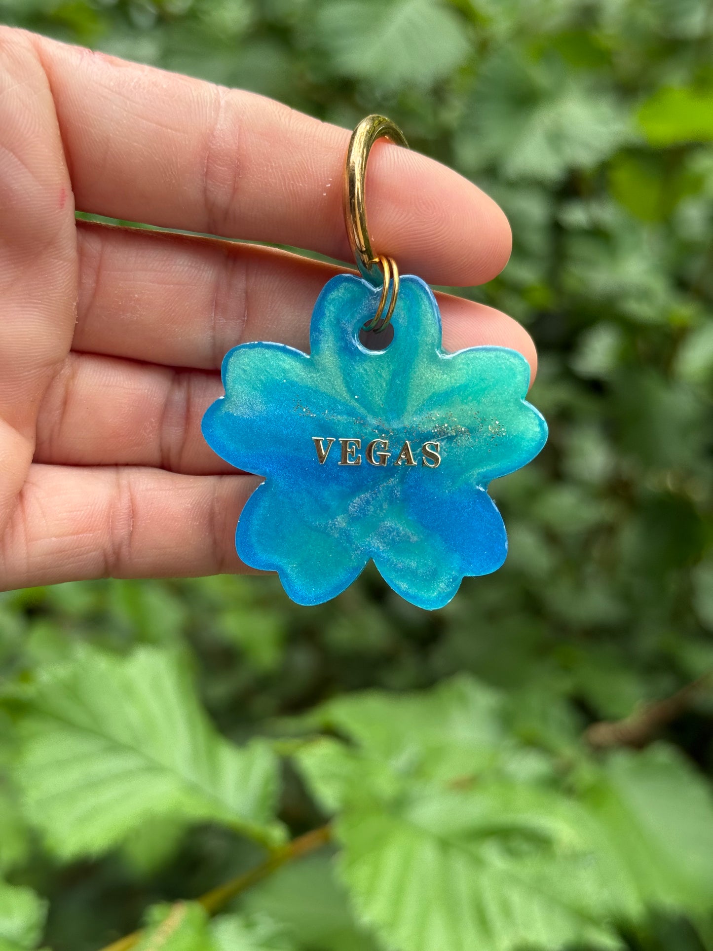 Médaille personnalisée pour chien
 - Pastel de BLEU-VERT