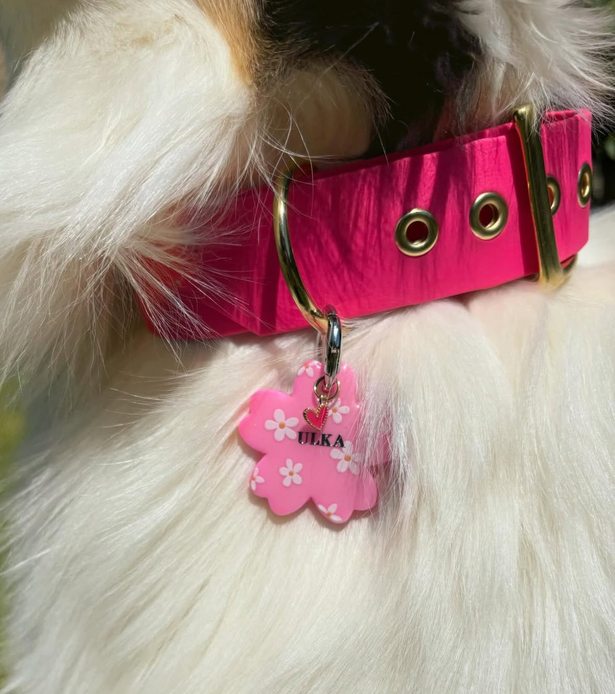 Médaille personnalisée pour chien - Rose fleurie