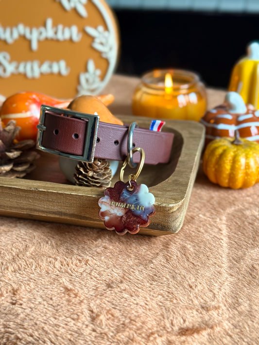 PACK AUTOMNE - SADDLE MARRON