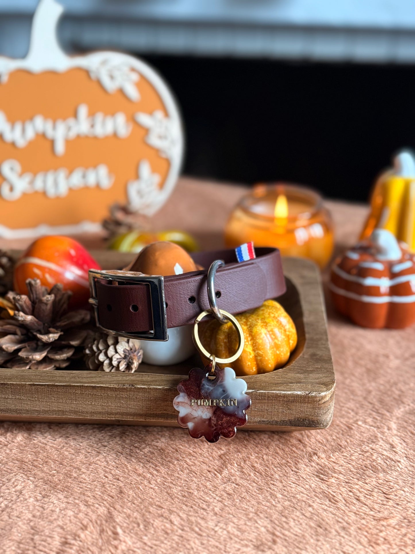 PACK AUTOMNE - SADDLE MARRON