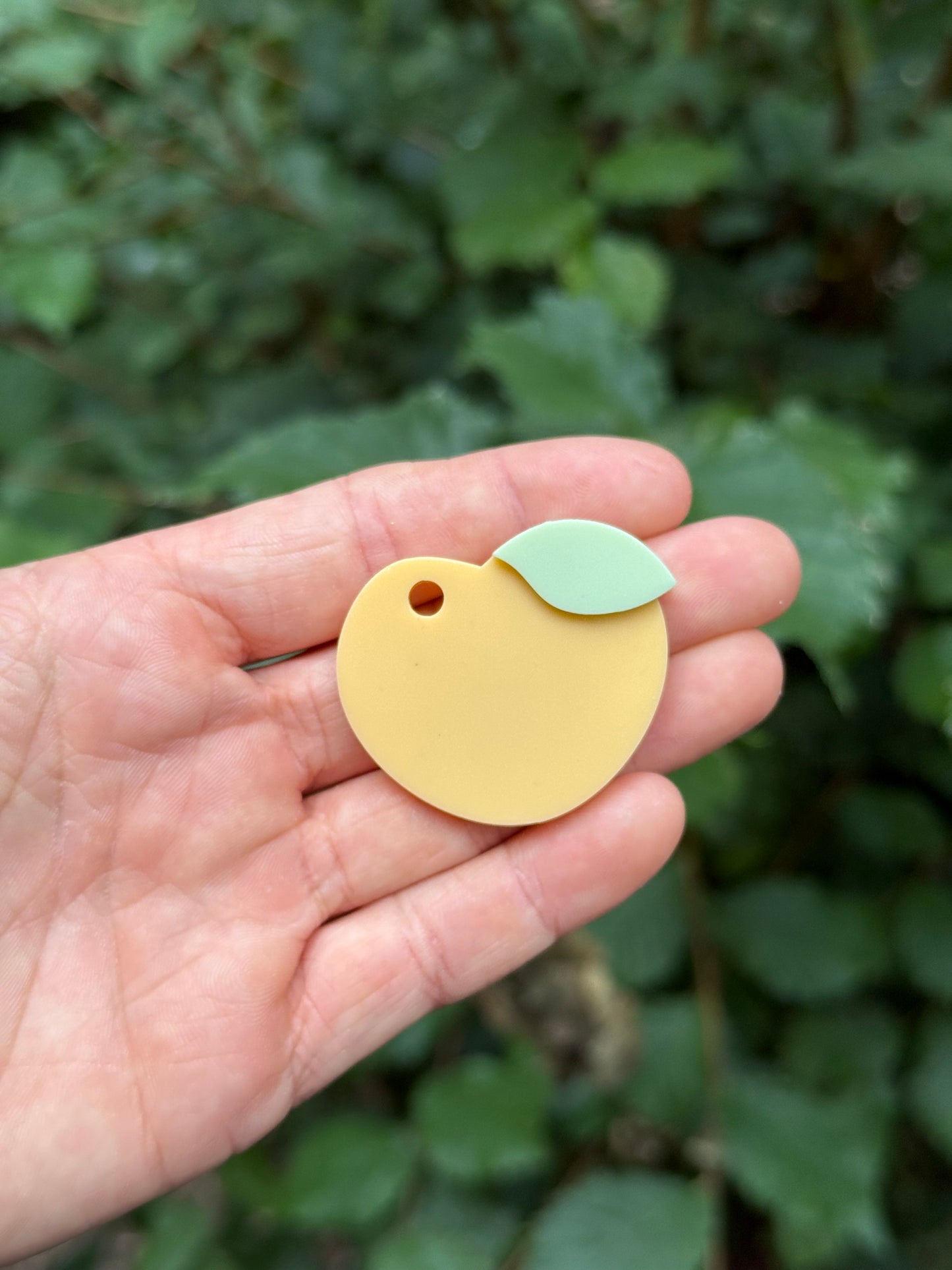 Médaille personnalisée pour chien - Pêche forme