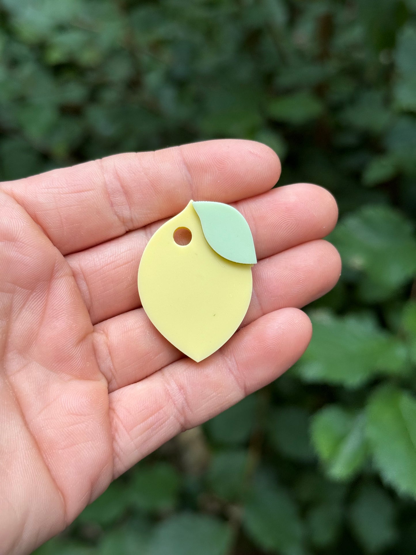 Médaille personnalisée pour chien - Citron forme
