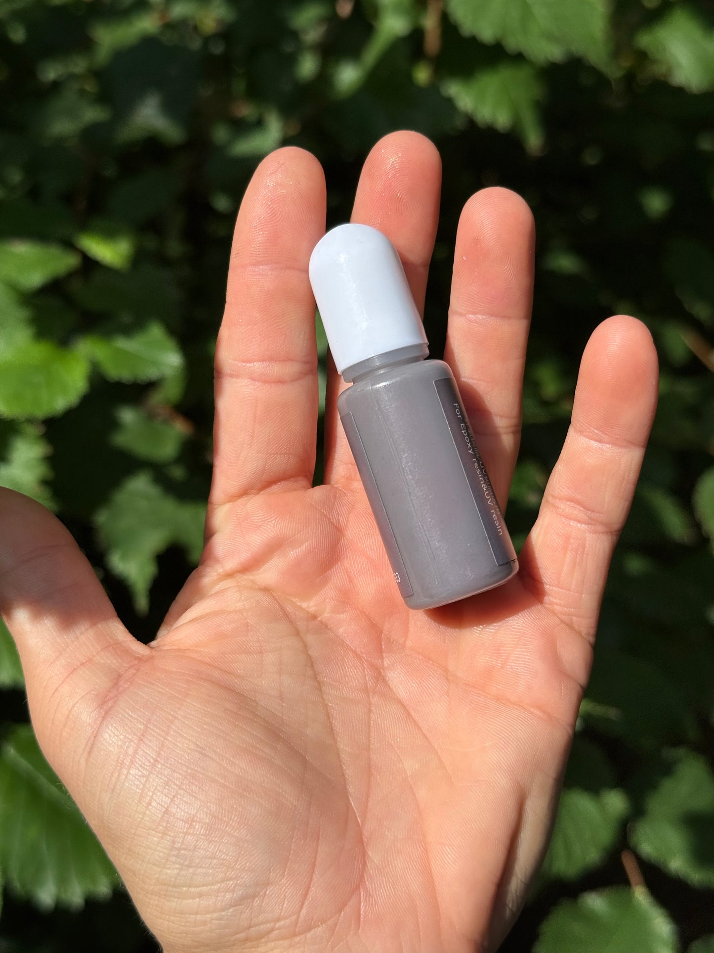 Médaille personnalisée pour chien - Gris UNI