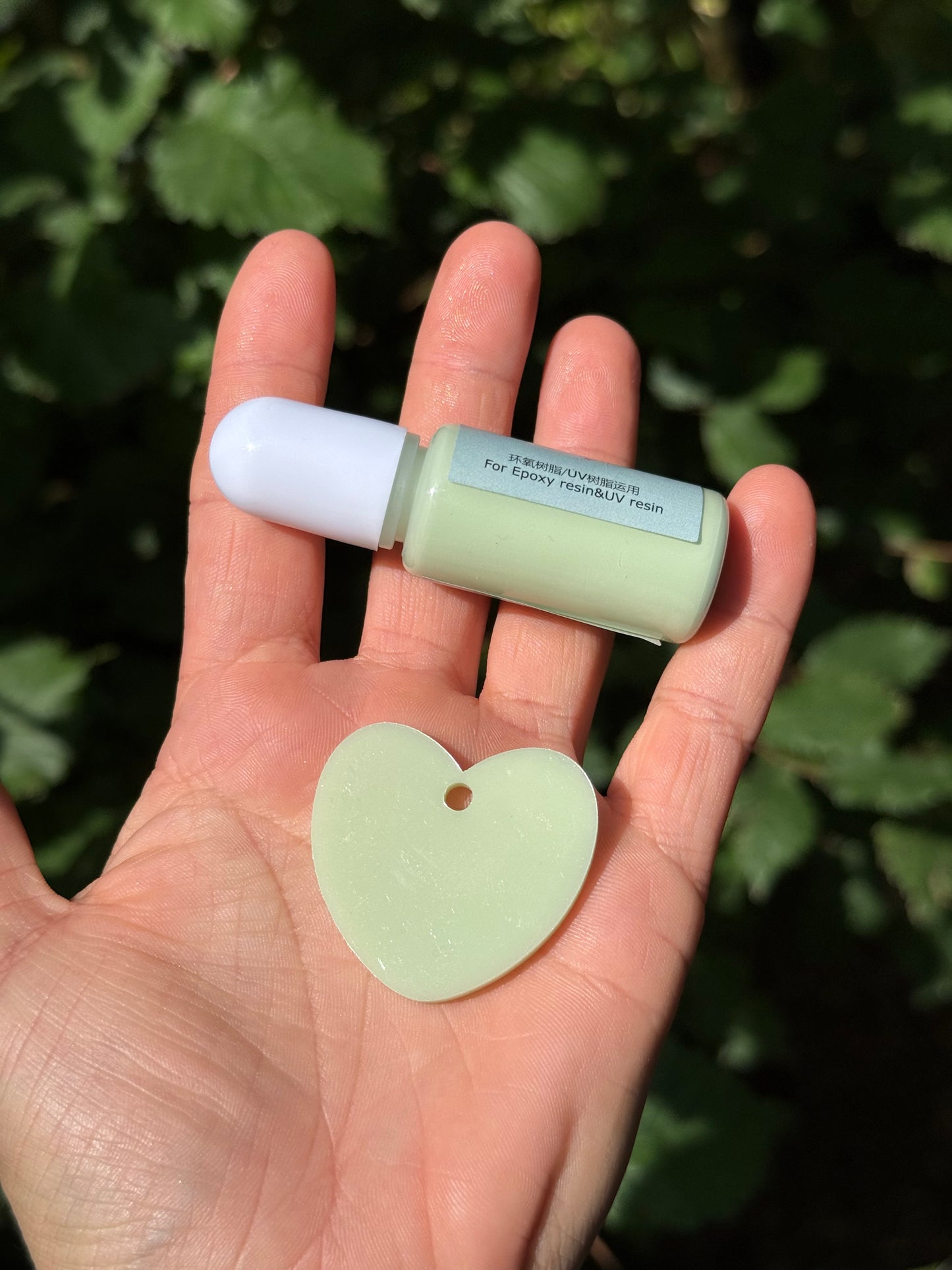 Médaille personnalisée pour chien - Vert pâle UNI