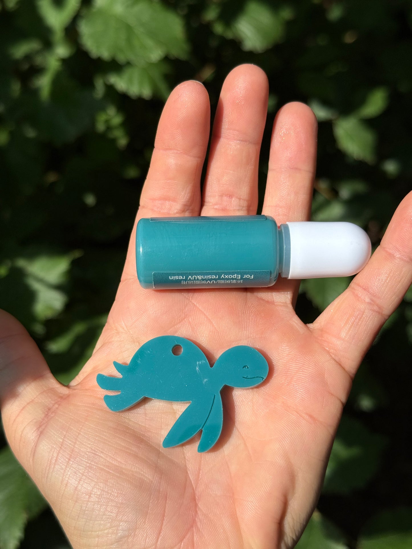 Médaille personnalisée pour chien - Lagon UNI