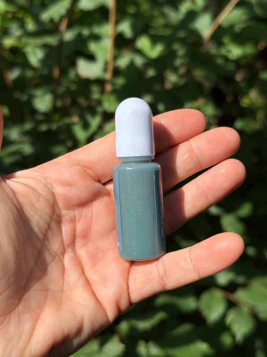 Médaille personnalisée pour chien - Bleu gris UNI