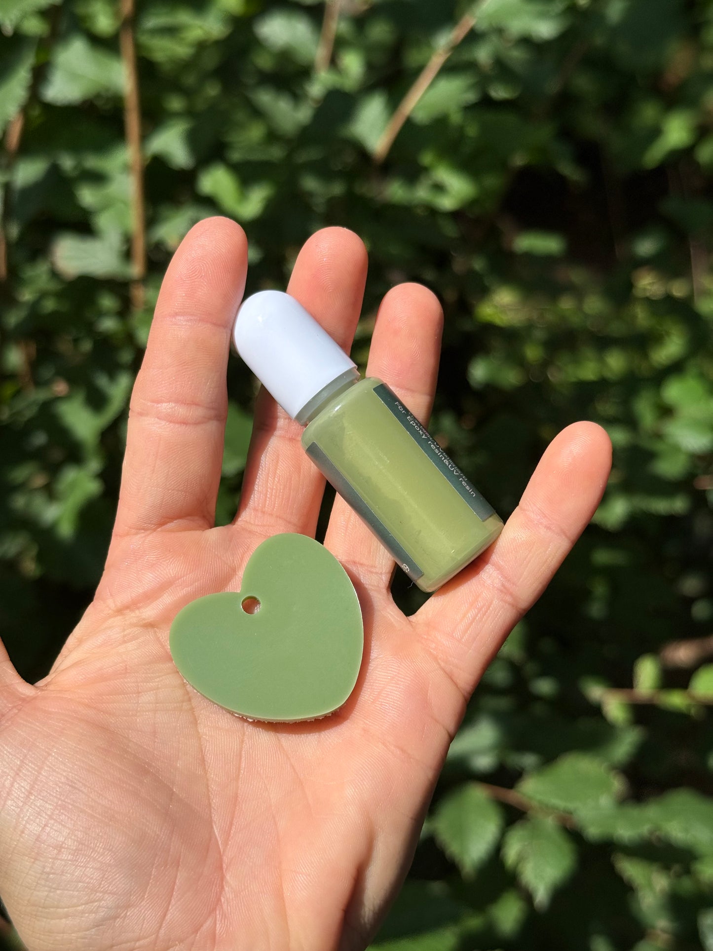 Médaille personnalisée pour chien - OLIVE 🫒