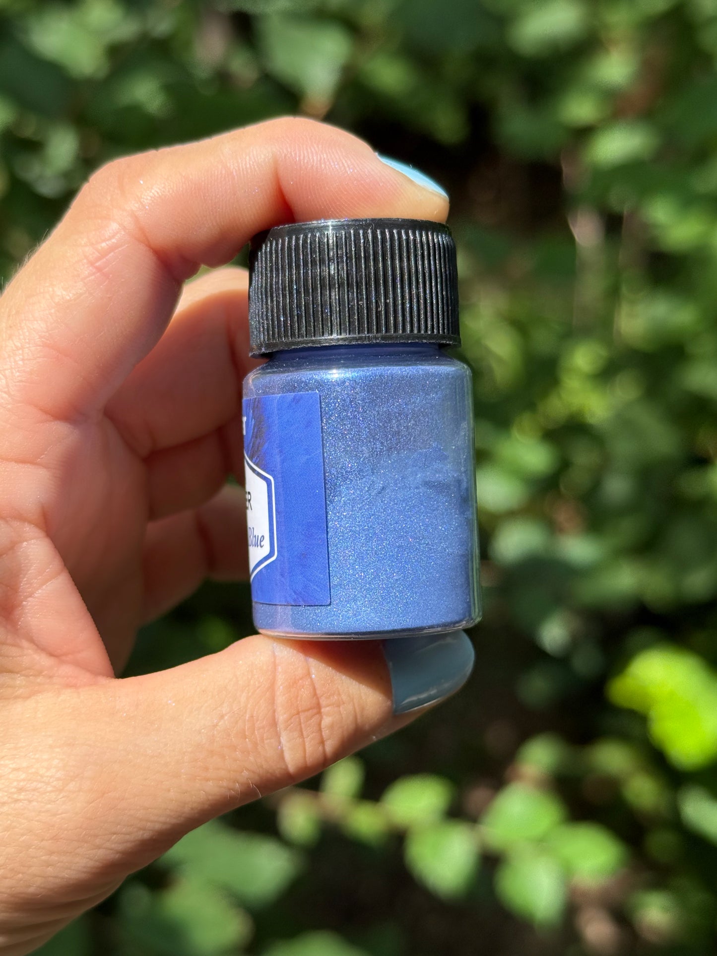 Médaille personnalisée pour chien - Sapphire blue nacré