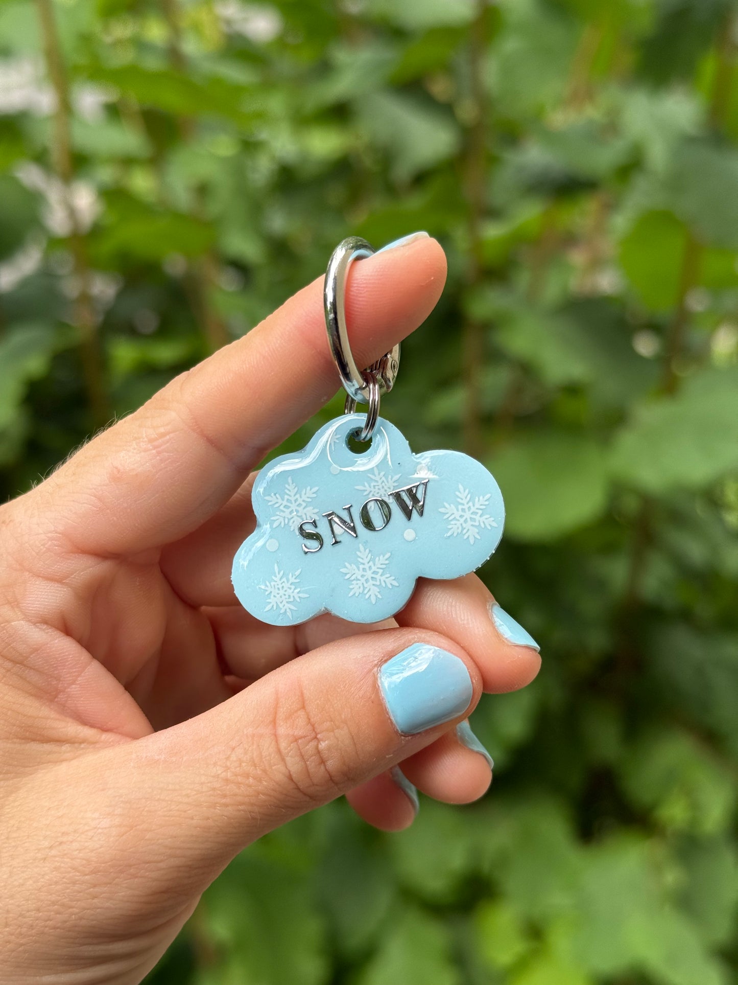 Médaille personnalisée pour chien - SNOW