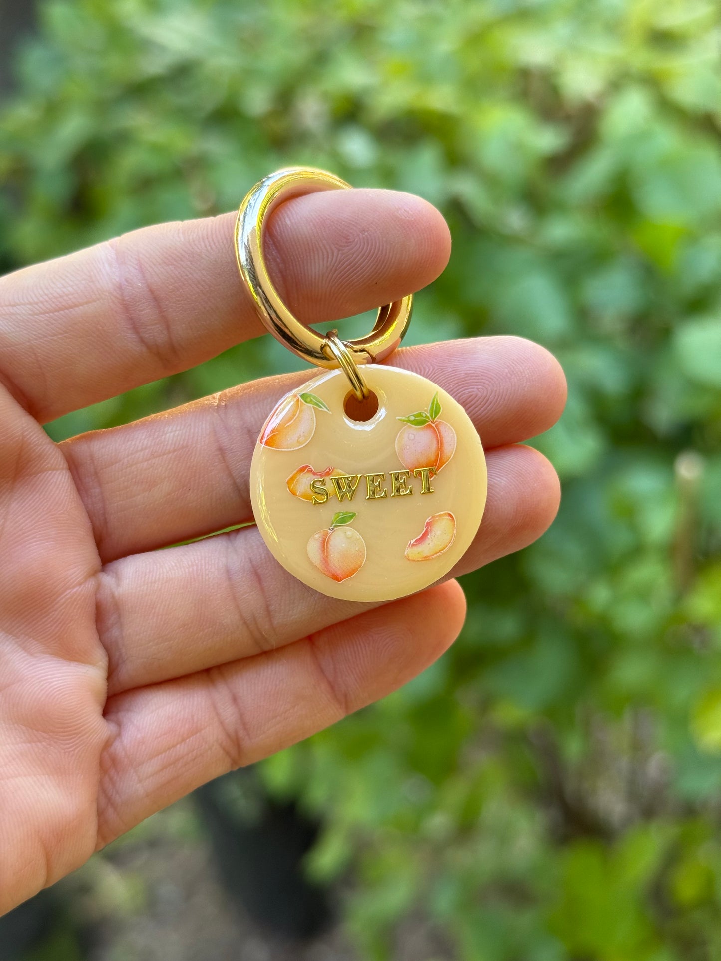 Médaille personnalisée pour chien - Pêche 🍑