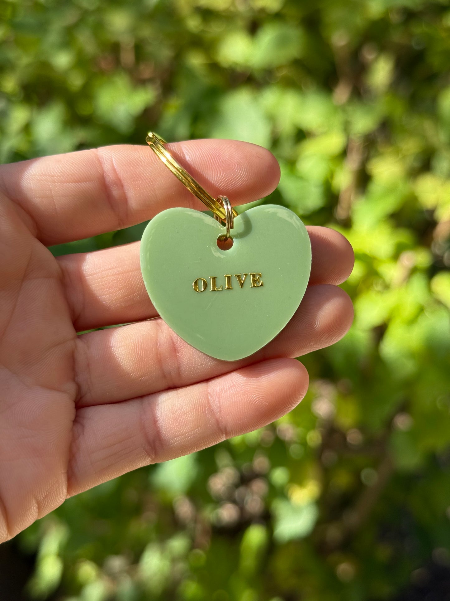 Médaille personnalisée pour chien - OLIVE 🫒