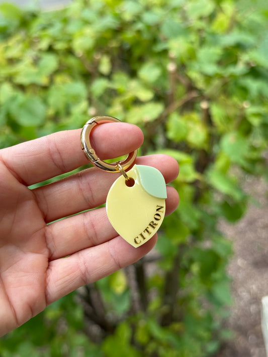 Médaille personnalisée pour chien - Citron forme