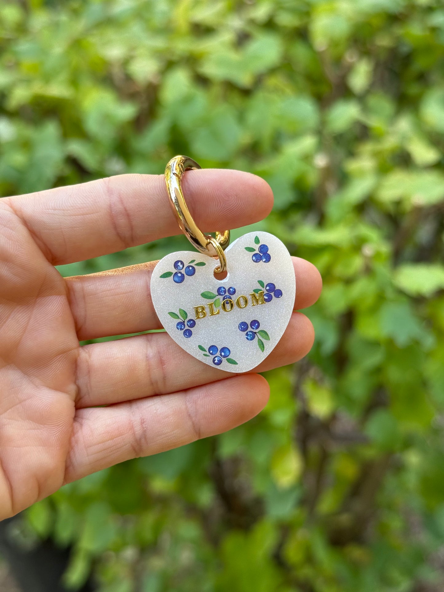 Médaille personnalisée pour chien - Blanche myrtille 🫐