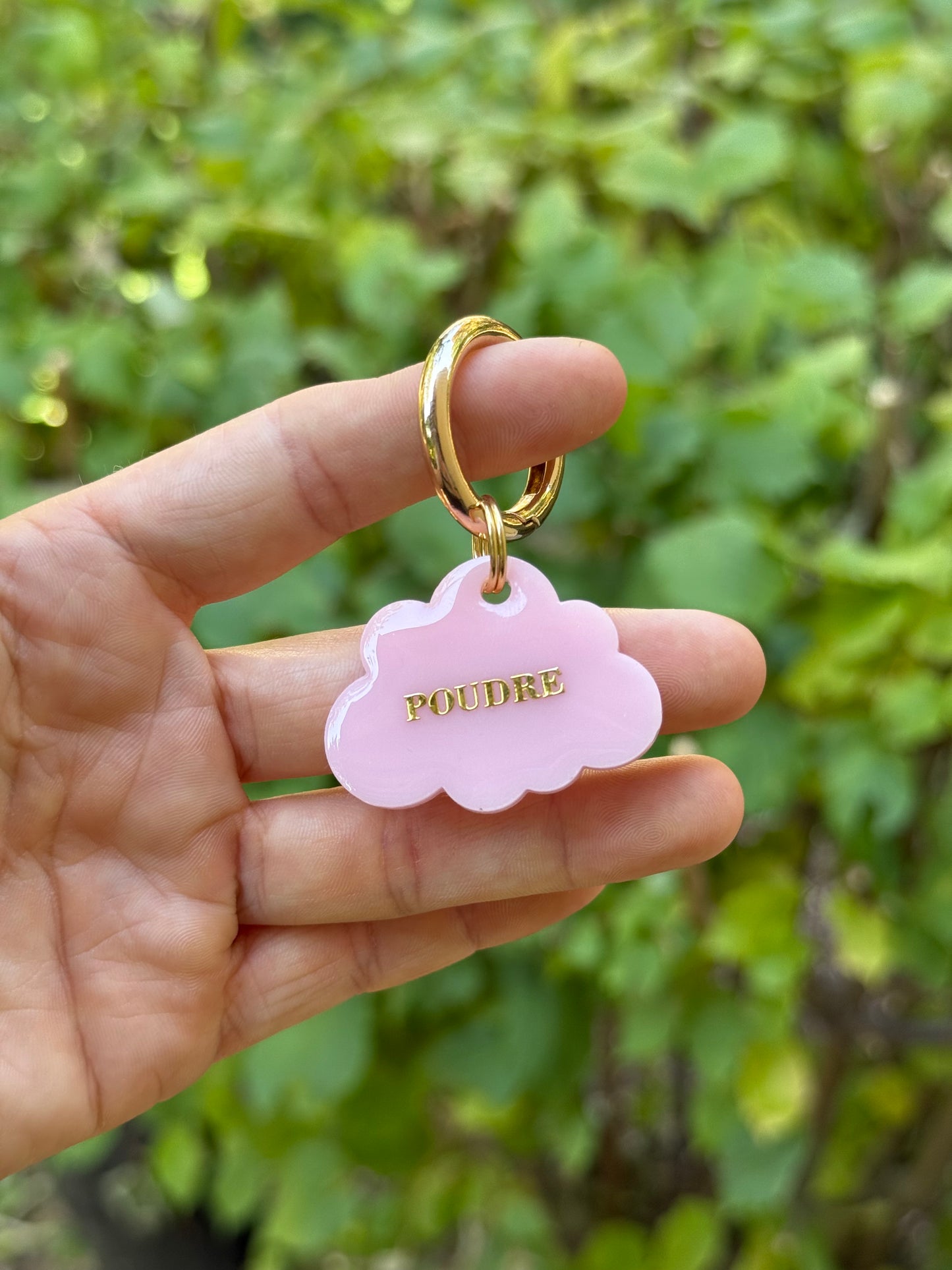 Médaille personnalisée pour chien - Rose pâle UNI