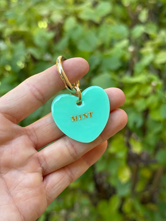 Médaille personnalisée pour chien - menthe UNI