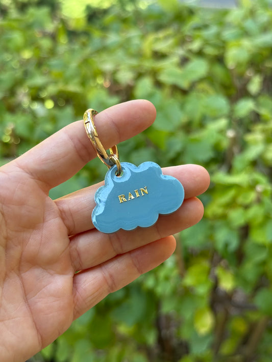 Médaille personnalisée pour chien - Bleu gris UNI