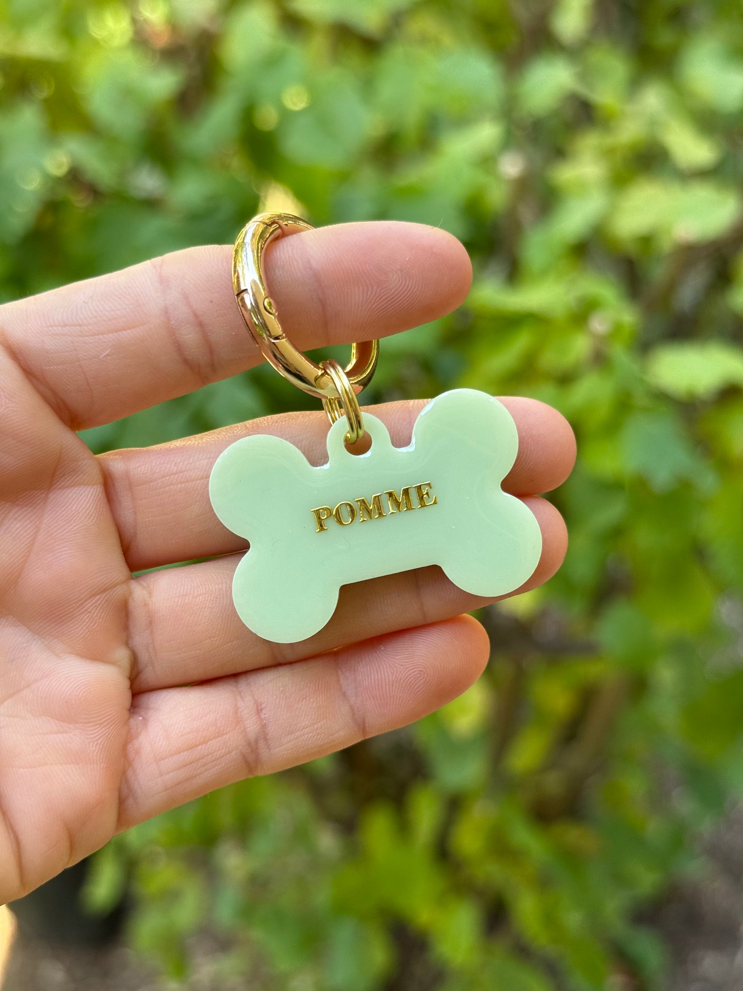 Médaille personnalisée pour chien - Vert pâle UNI