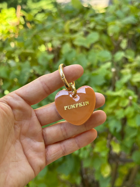 Médaille personnalisée pour chien - Marron orangé UNI