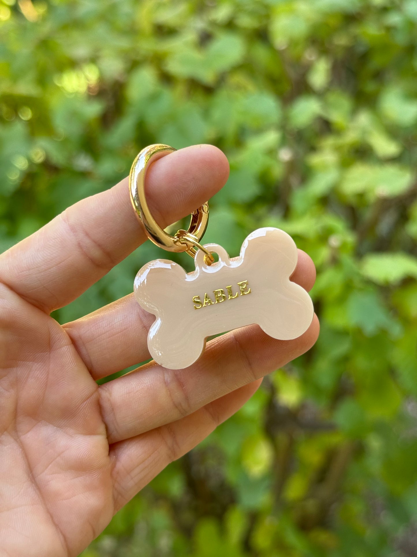 Médaille personnalisée pour chien - Marron glacé UNI