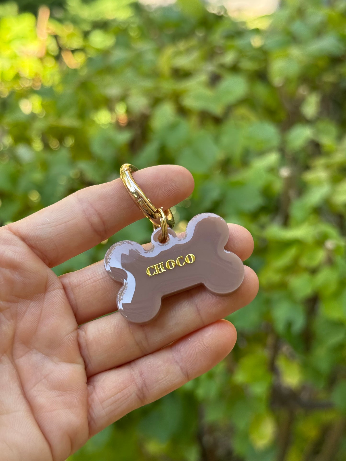 Médaille personnalisée pour chien - Choco UNI