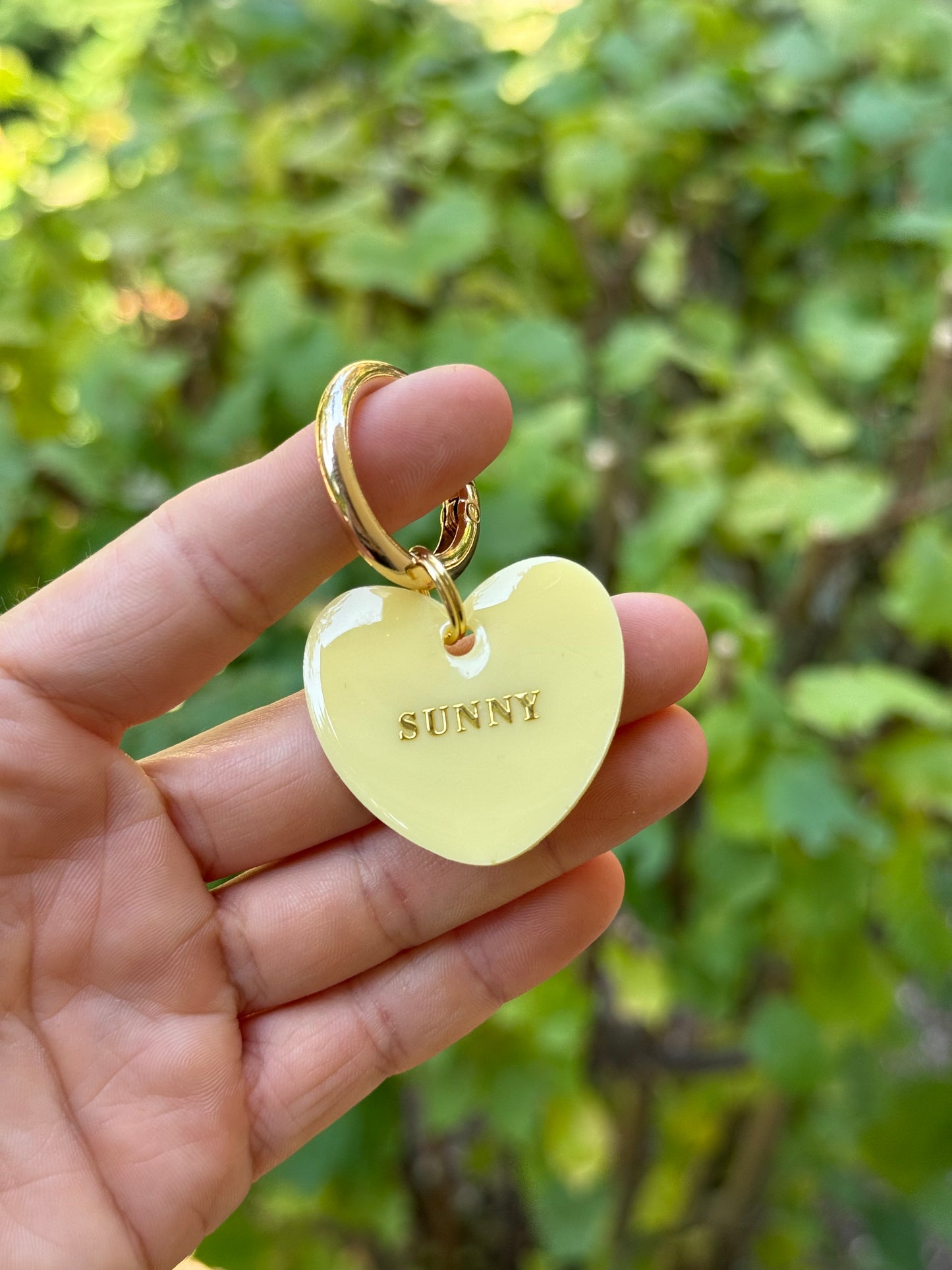 Médaille personnalisée pour animaux - jaune pâle UNI