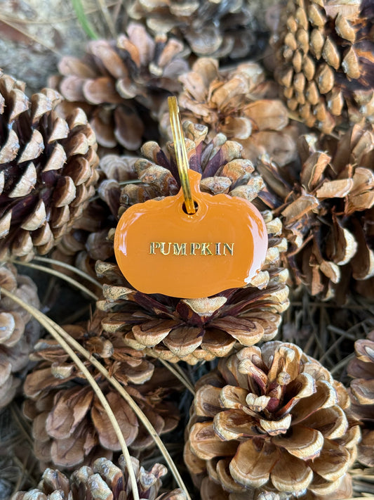 Médaille personnalisée pour chien - Citrouille PUMPKIN