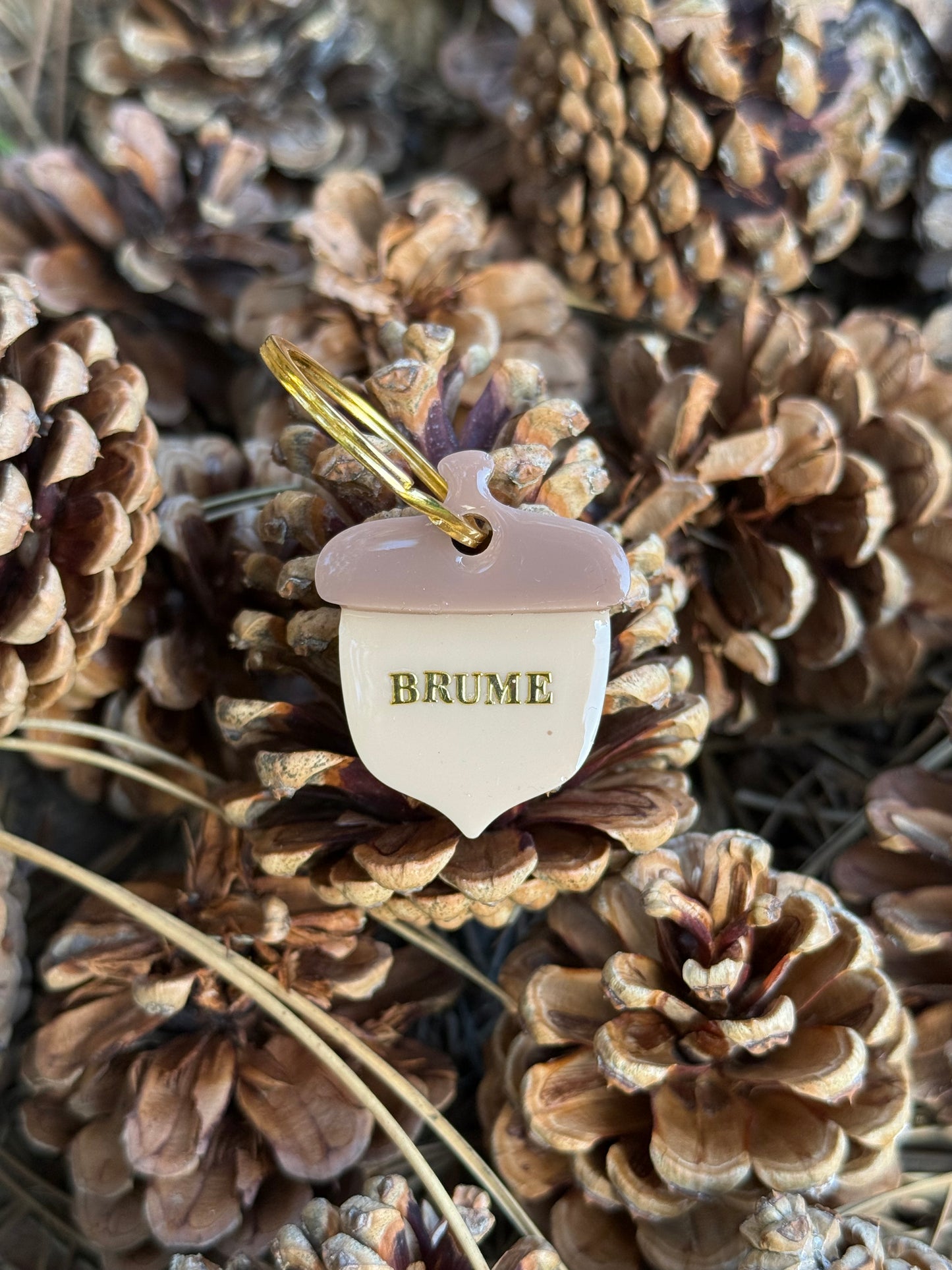 Médaille personnalisée pour chien - Gland BRUME