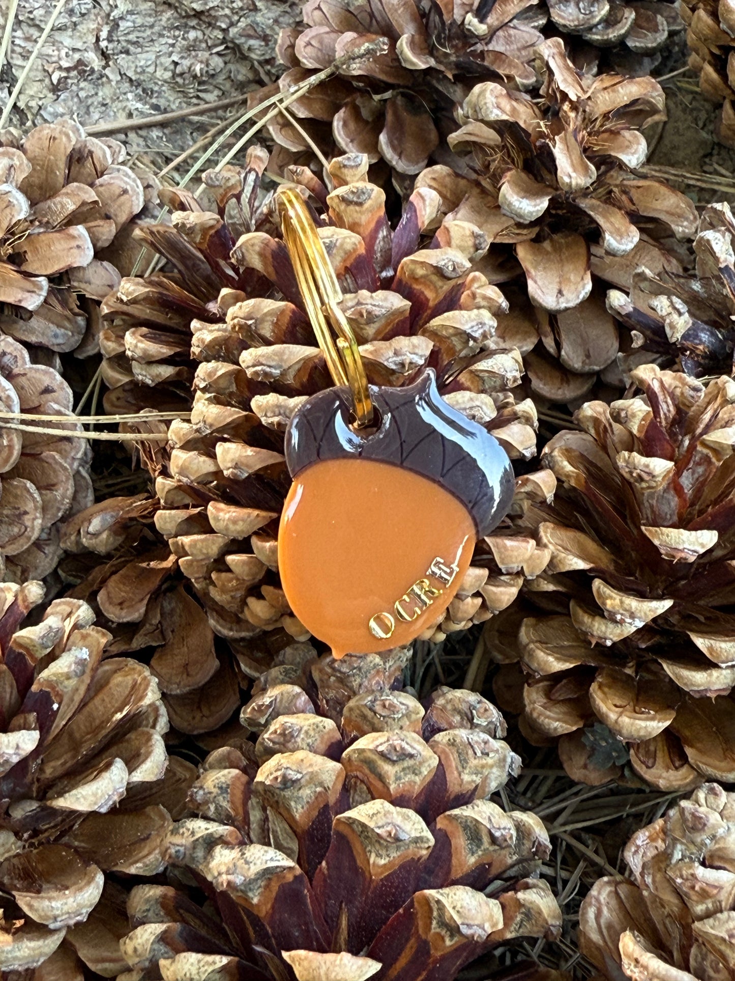 Médaille personnalisée pour chien - Gland OCRE