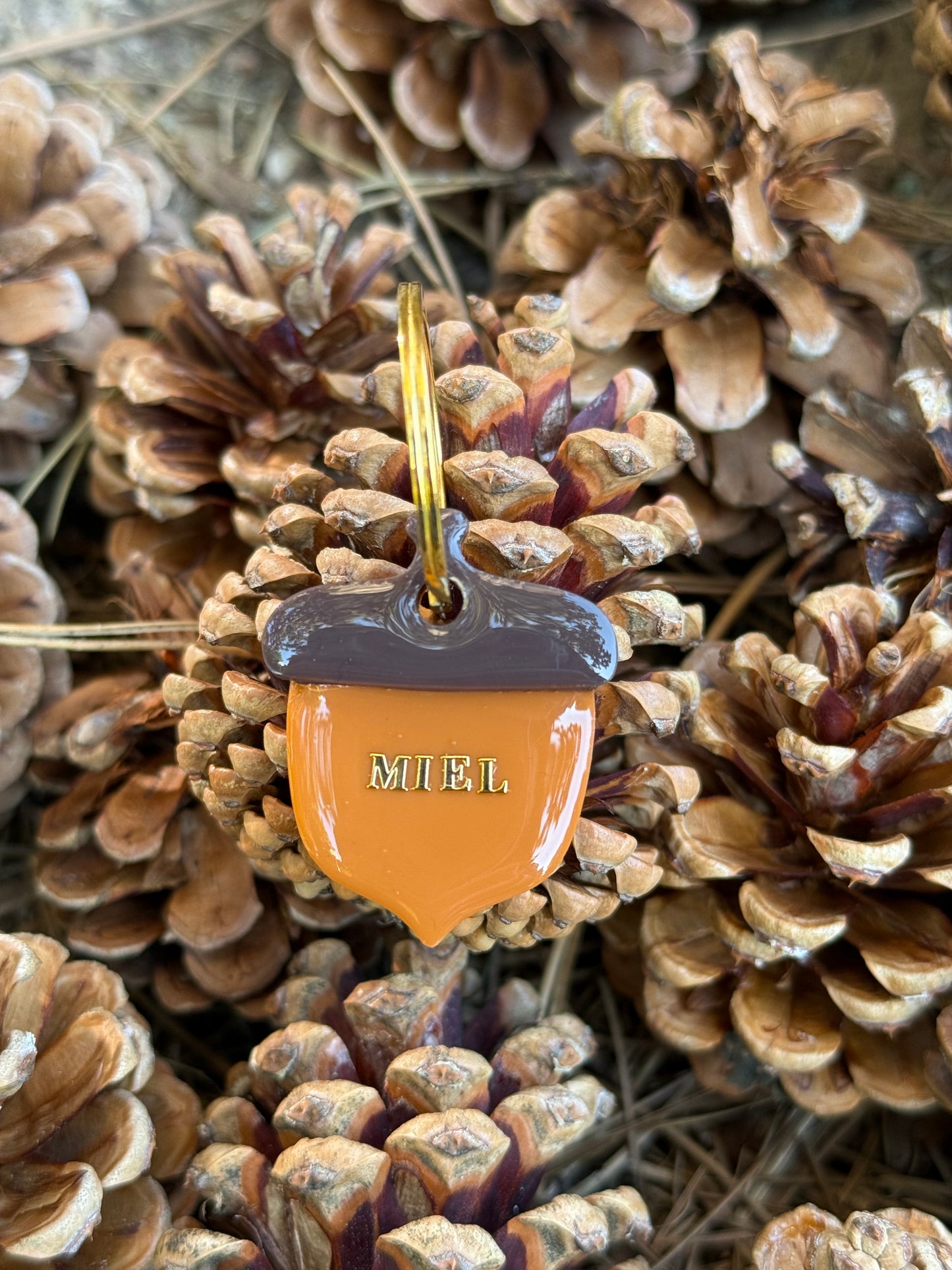 Médaille personnalisée pour chien - Gland MIEL